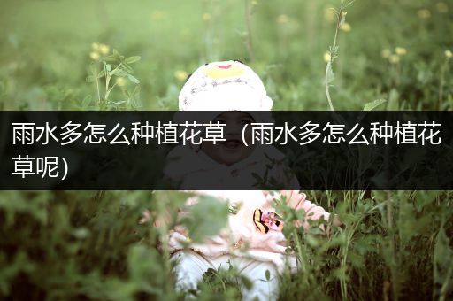 雨水多怎么种植花草（雨水多怎么种植花草呢）