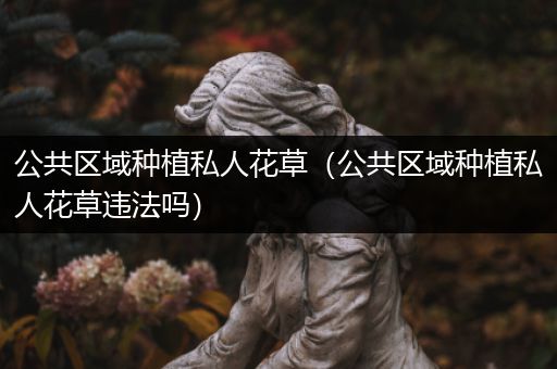 公共区域种植私人花草（公共区域种植私人花草违法吗）