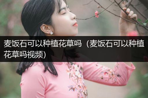 麦饭石可以种植花草吗（麦饭石可以种植花草吗视频）