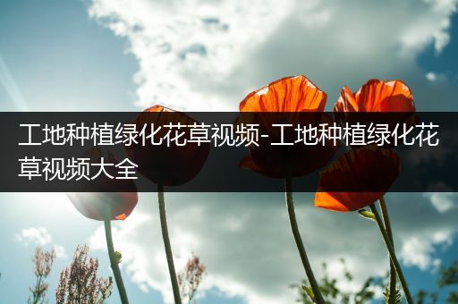 工地种植绿化花草视频-工地种植绿化花草视频大全