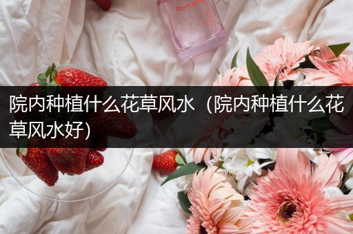 院内种植什么花草风水（院内种植什么花草风水好）