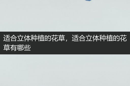 适合立体种植的花草，适合立体种植的花草有哪些