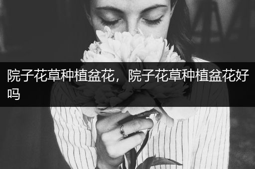 院子花草种植盆花，院子花草种植盆花好吗