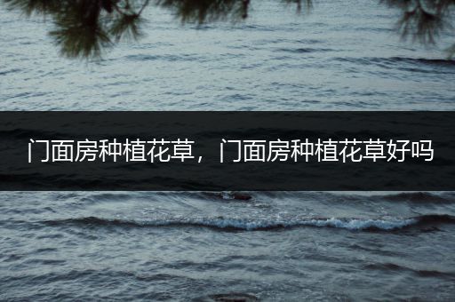 门面房种植花草，门面房种植花草好吗