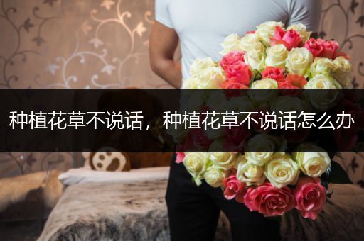 种植花草不说话，种植花草不说话怎么办
