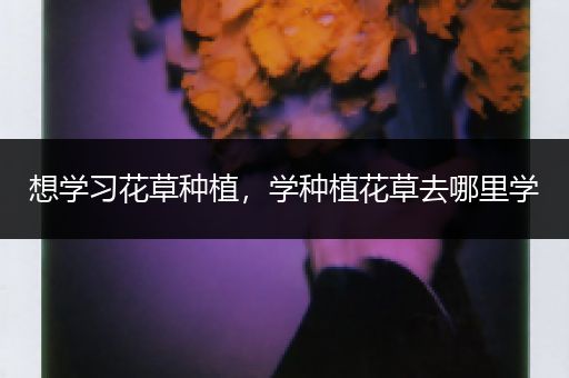 想学习花草种植，学种植花草去哪里学