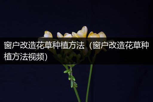 窗户改造花草种植方法（窗户改造花草种植方法视频）