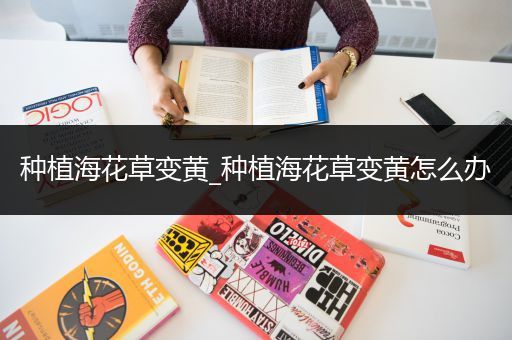 种植海花草变黄_种植海花草变黄怎么办