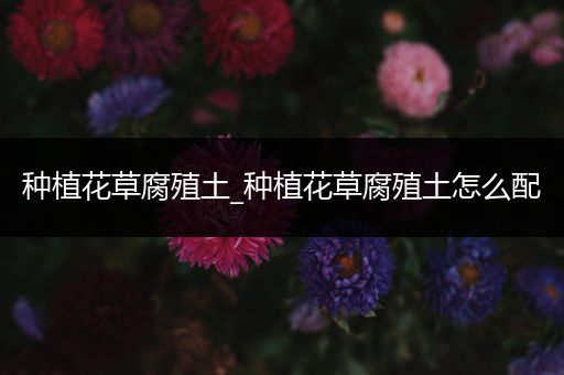 种植花草腐殖土_种植花草腐殖土怎么配