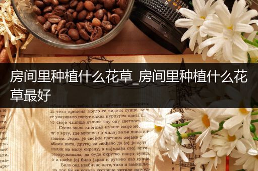 房间里种植什么花草_房间里种植什么花草最好