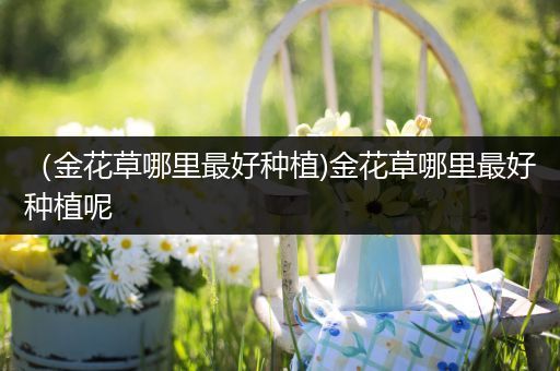 （金花草哪里最好种植)金花草哪里最好种植呢