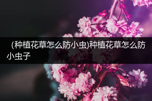 （种植花草怎么防小虫)种植花草怎么防小虫子