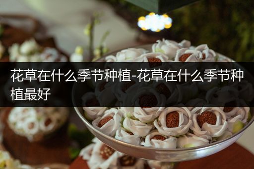 花草在什么季节种植-花草在什么季节种植最好
