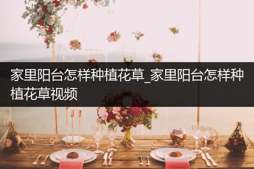 家里阳台怎样种植花草_家里阳台怎样种植花草视频