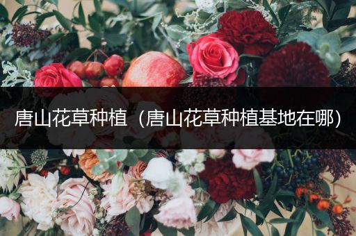 唐山花草种植（唐山花草种植基地在哪）
