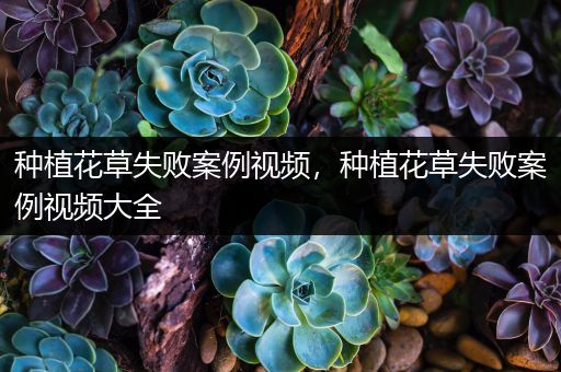 种植花草失败案例视频，种植花草失败案例视频大全