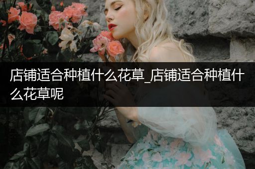 店铺适合种植什么花草_店铺适合种植什么花草呢