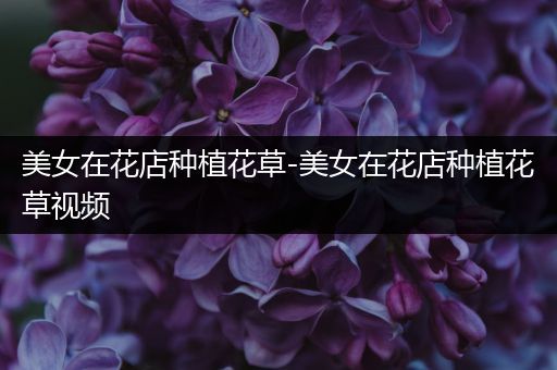 美女在花店种植花草-美女在花店种植花草视频