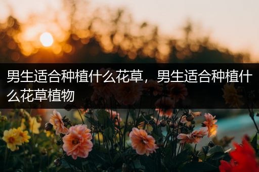 男生适合种植什么花草，男生适合种植什么花草植物