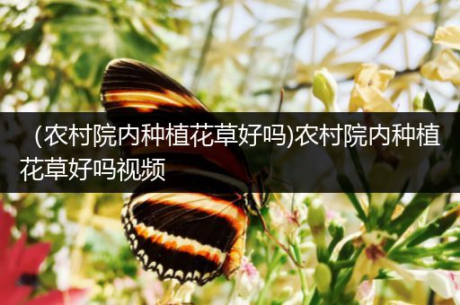 （农村院内种植花草好吗)农村院内种植花草好吗视频
