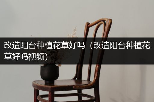改造阳台种植花草好吗（改造阳台种植花草好吗视频）