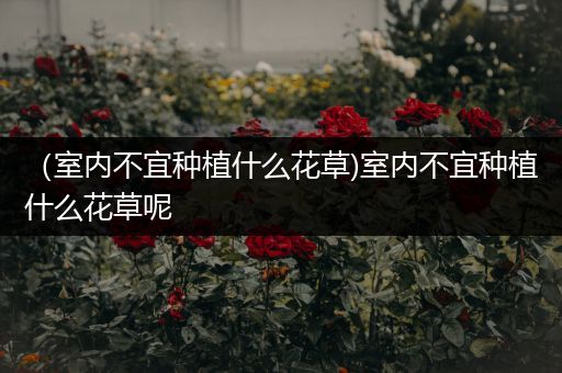 （室内不宜种植什么花草)室内不宜种植什么花草呢