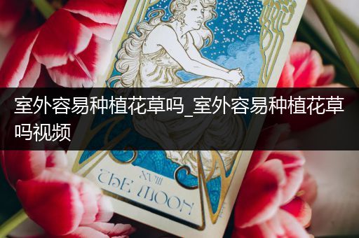 室外容易种植花草吗_室外容易种植花草吗视频