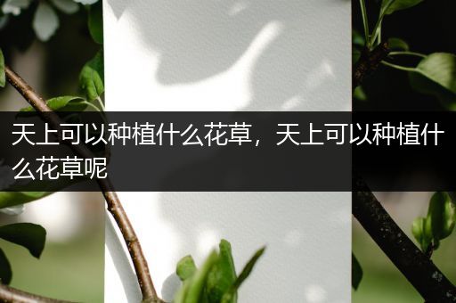 天上可以种植什么花草，天上可以种植什么花草呢