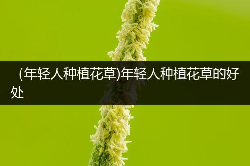 （年轻人种植花草)年轻人种植花草的好处