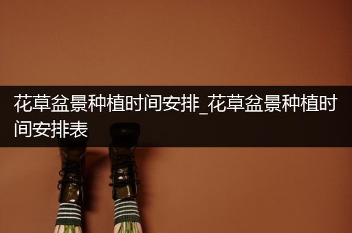 花草盆景种植时间安排_花草盆景种植时间安排表