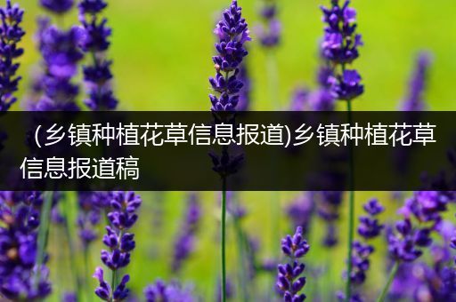 （乡镇种植花草信息报道)乡镇种植花草信息报道稿