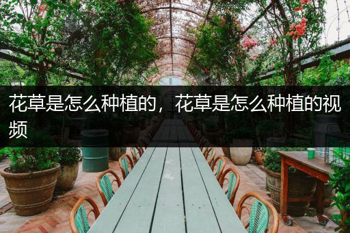 花草是怎么种植的，花草是怎么种植的视频