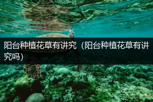 阳台种植花草有讲究（阳台种植花草有讲究吗）