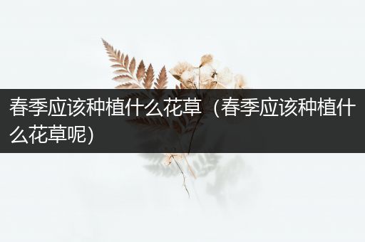 春季应该种植什么花草（春季应该种植什么花草呢）