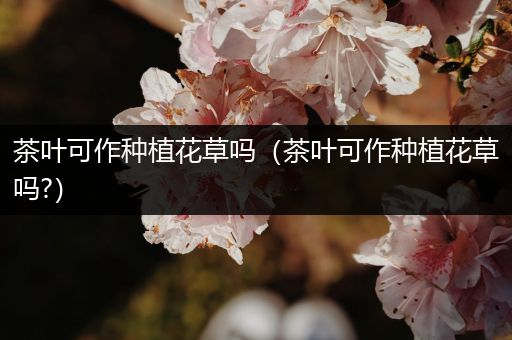 茶叶可作种植花草吗（茶叶可作种植花草吗?）