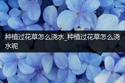 种植过花草怎么浇水_种植过花草怎么浇水呢
