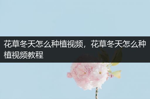 花草冬天怎么种植视频，花草冬天怎么种植视频教程