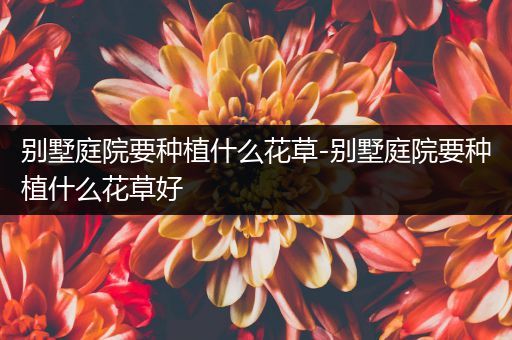 别墅庭院要种植什么花草-别墅庭院要种植什么花草好