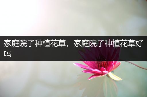 家庭院子种植花草，家庭院子种植花草好吗