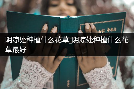 阴凉处种植什么花草_阴凉处种植什么花草最好