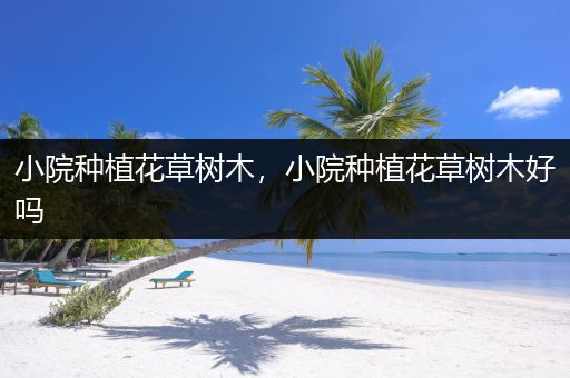 小院种植花草树木，小院种植花草树木好吗