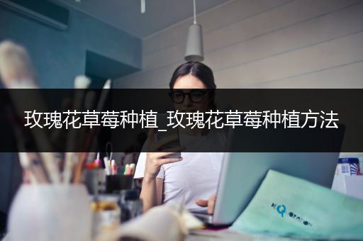 玫瑰花草莓种植_玫瑰花草莓种植方法