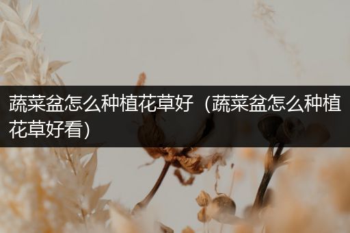 蔬菜盆怎么种植花草好（蔬菜盆怎么种植花草好看）