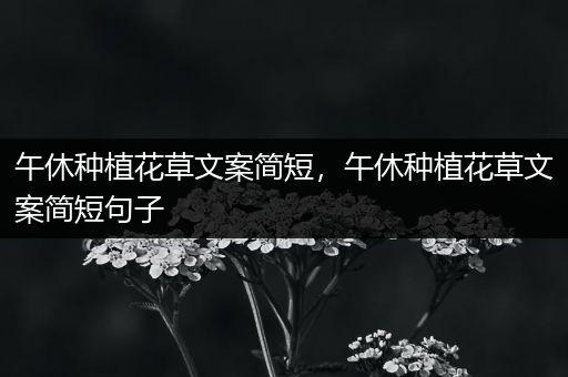 午休种植花草文案简短，午休种植花草文案简短句子