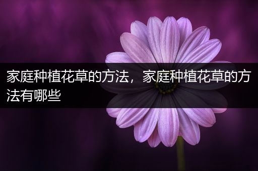 家庭种植花草的方法，家庭种植花草的方法有哪些