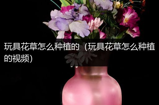 玩具花草怎么种植的（玩具花草怎么种植的视频）