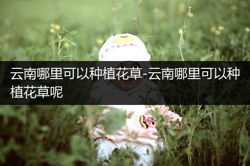 云南哪里可以种植花草-云南哪里可以种植花草呢