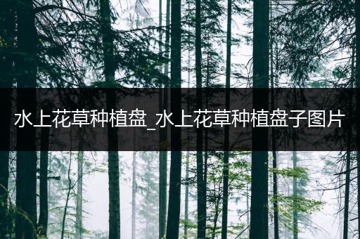 水上花草种植盘_水上花草种植盘子图片