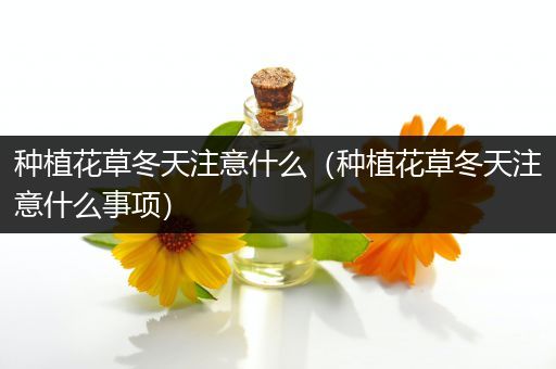 种植花草冬天注意什么（种植花草冬天注意什么事项）