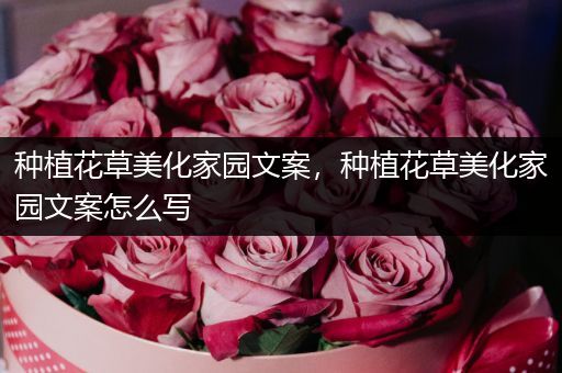 种植花草美化家园文案，种植花草美化家园文案怎么写